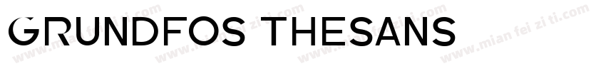 Grundfos TheSans字体转换